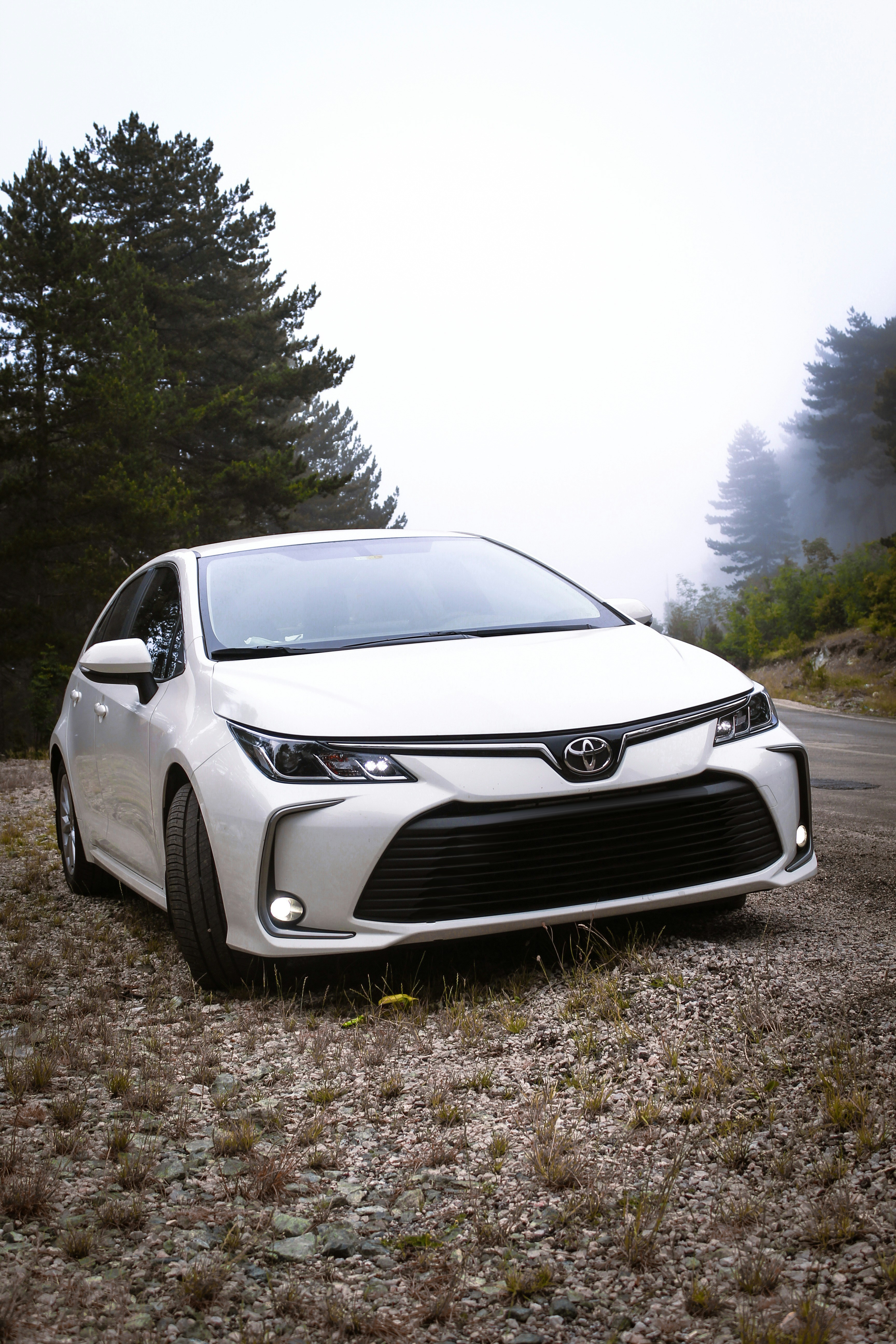 2021 Toyota Corolla Hybrid